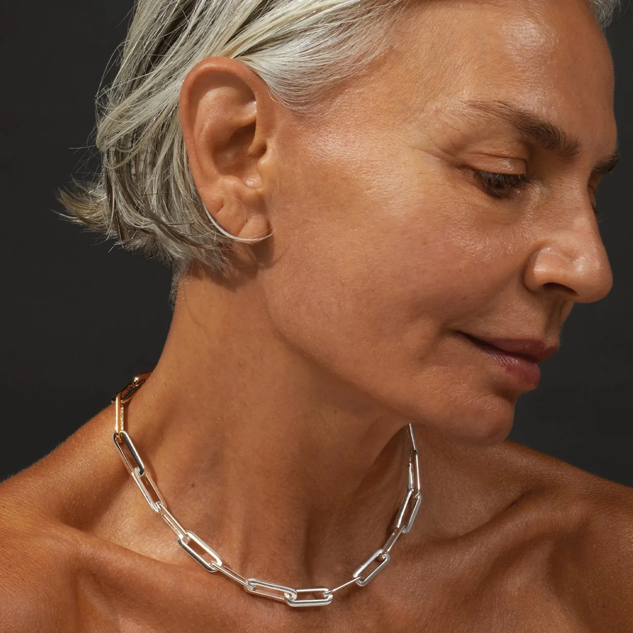 Stevie Slim Necklace (Two-Tone)