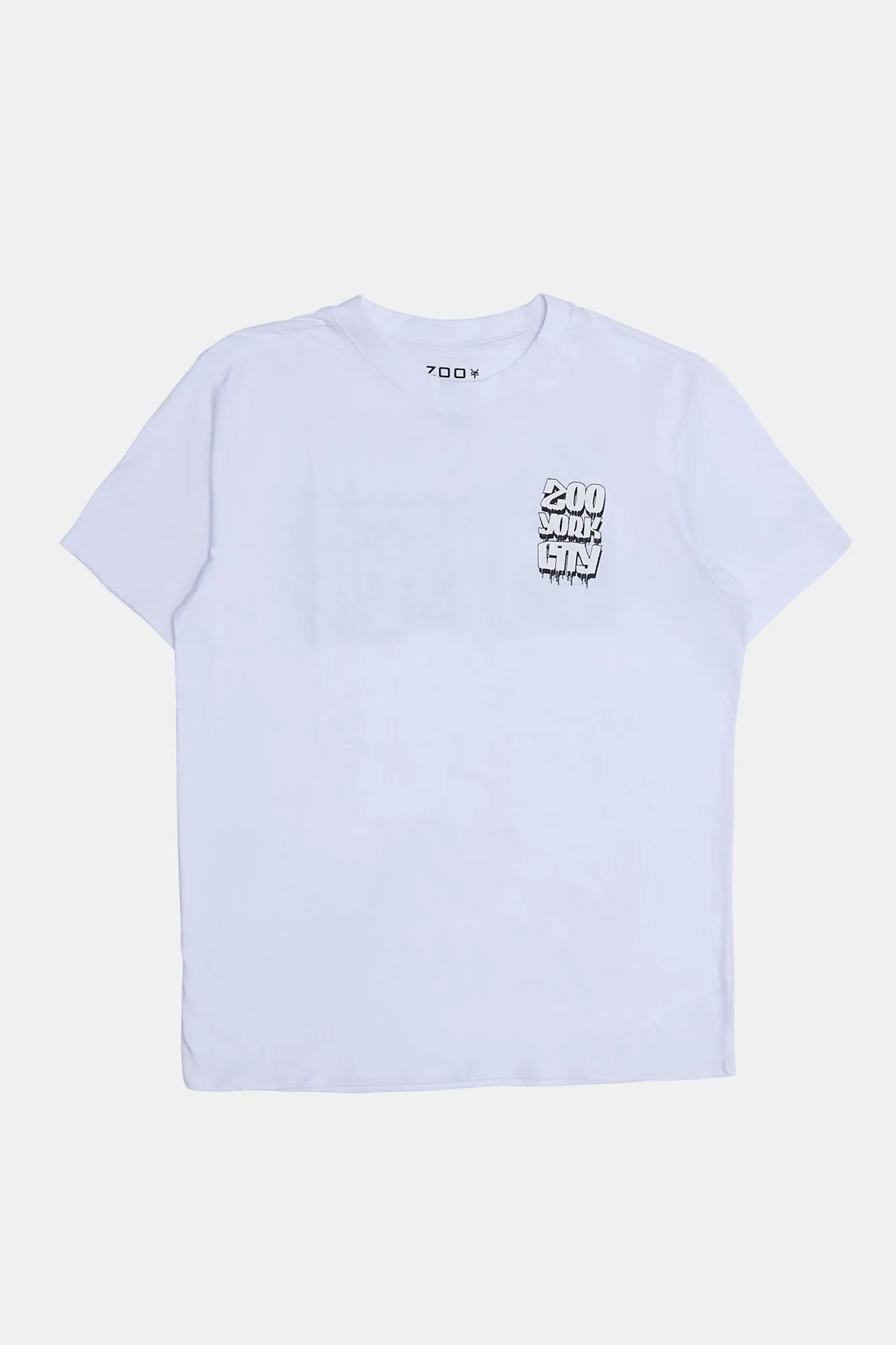 T-shirt imprimé Zoo York City homme